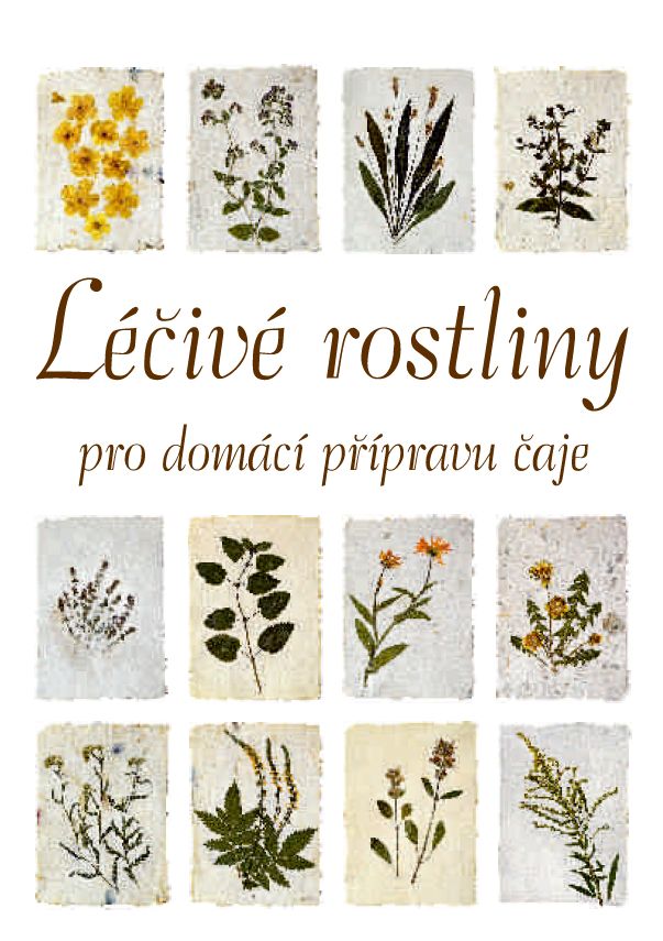 Kalendář Léčivé rostliny (I.) - Obrázek 7