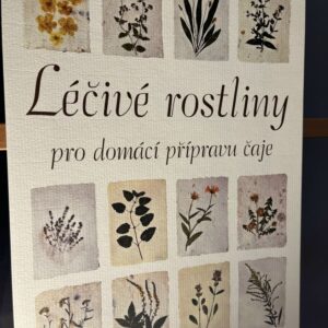 Kalendář 2026 - Léčivé rostliny
