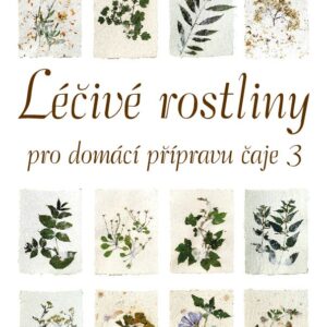 Kalendář Léčivé rostliny (III.)