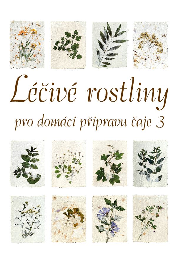 Kalendář Léčivé rostliny (III.)